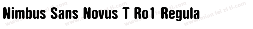 Nimbus Sans Novus T Ro1 Regular Ita字体转换